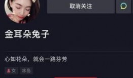 娱乐圈内人爆料直播,直播行业幕后真相大揭秘