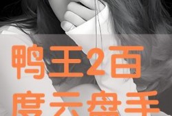 鸭王粤语手机在线观看,重温经典粤语喜剧的视听盛宴