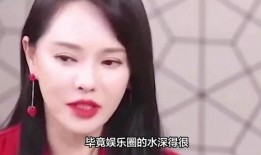 娱乐圈内幕大爆料小说,揭秘幕后真相与权力斗争