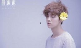 娱乐吃瓜酱易云fan,娱乐吃瓜酱的独家揭秘与幕后故事