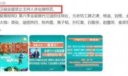 湖南综艺爆料最新消息,揭秘明星幕后故事，精彩内容抢先看！